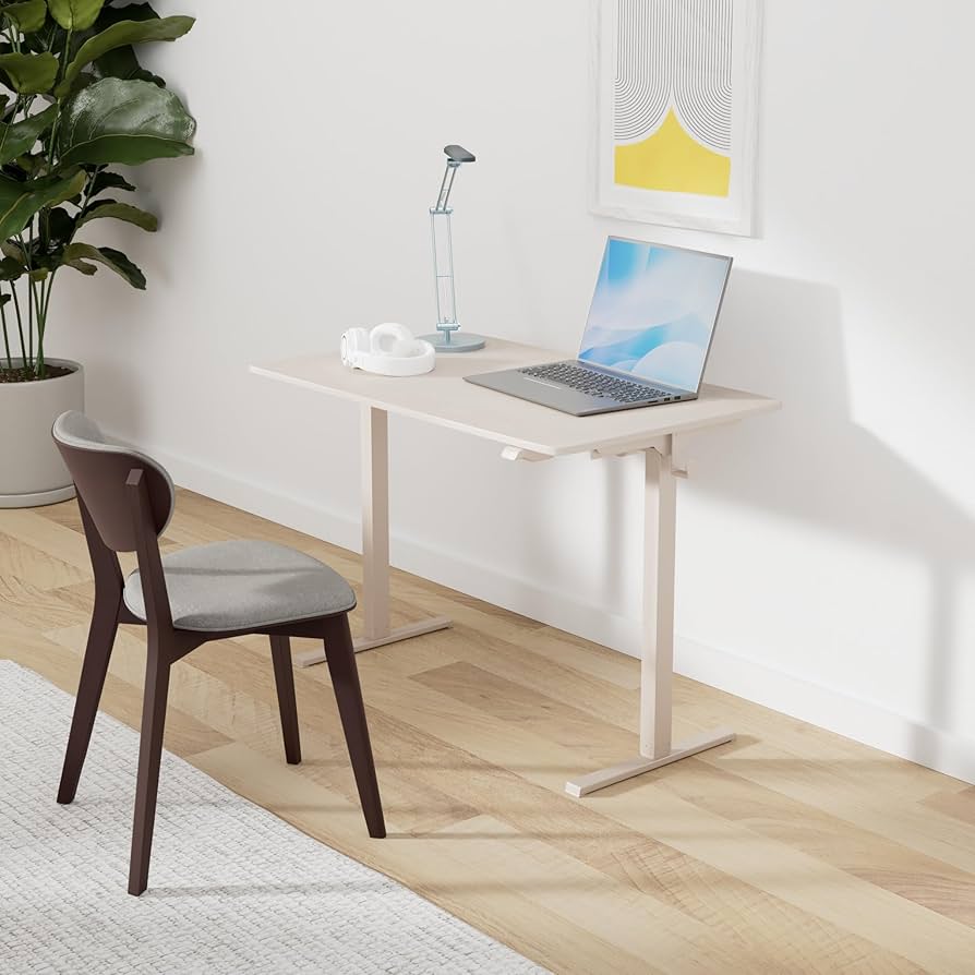 Amazon.com: FLEXISPOT EN1 Whole-Piece Standing Desk 40 x 24